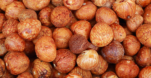 The Effects Of Betel Nut